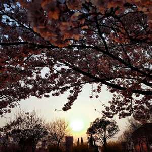 老公操死我好舒服好厉害视频
